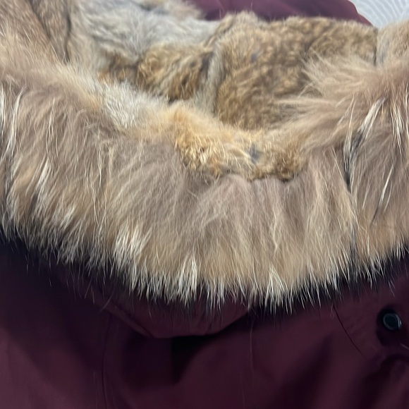 Rudsak maroon Ski & Snow Jacket - Picture 8 of 8